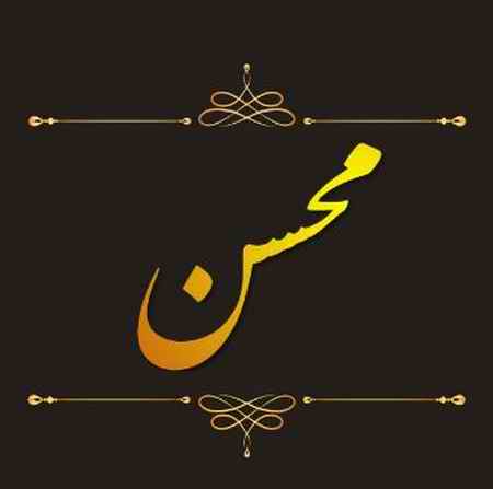 محسن چاوشی الا دختر